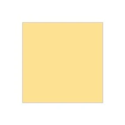 Ritrama Gloss Vinyl Beige - 305mm X 5m