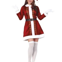 Lady Santa Claus - Adult Costume
