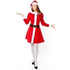 Santa Dress - Adult Costume