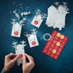 Reindeer Christmas Advent Calendar Boxes (24pk)